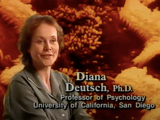 The Discovery Channel 