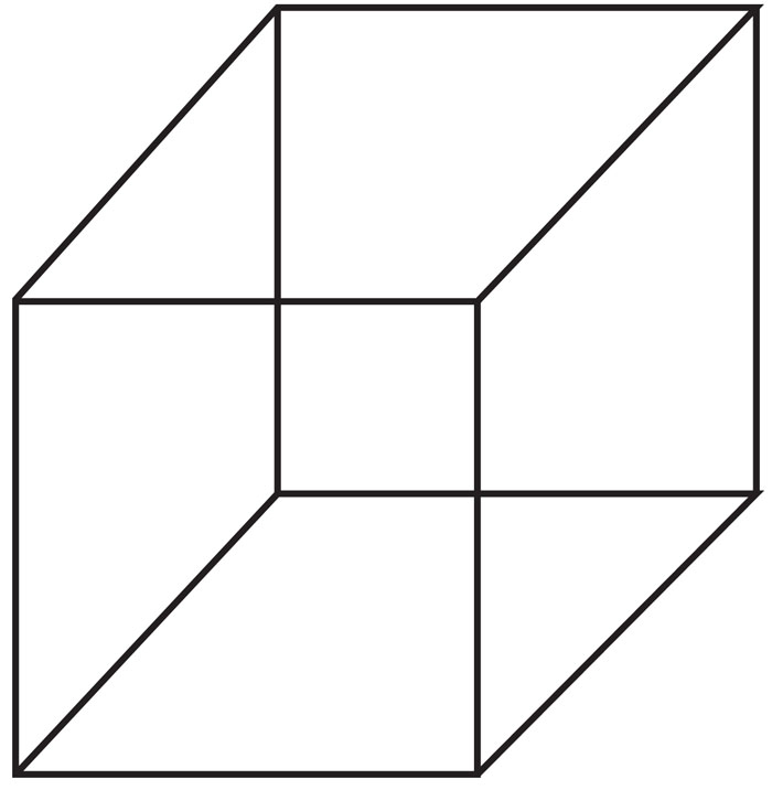 The Necker cube.